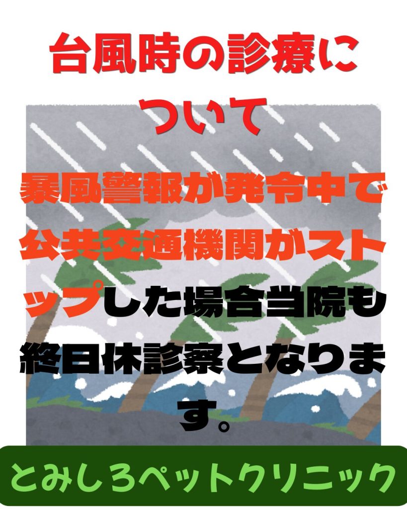 台風時の診療