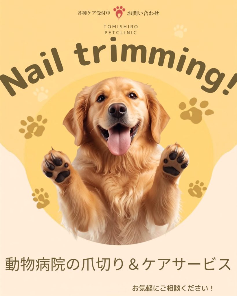 各種ケア受付中！